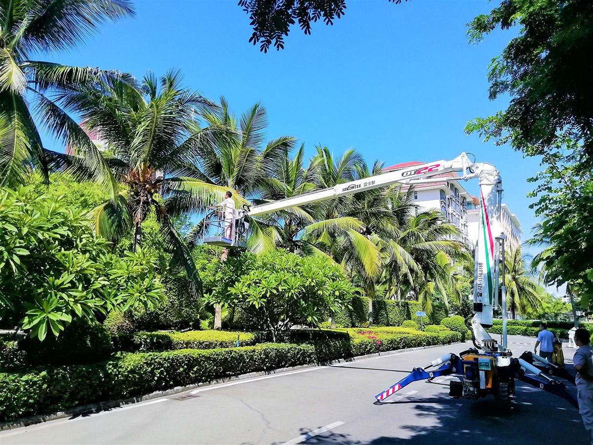 22米蜘蛛車. 22米蜘蛛車.